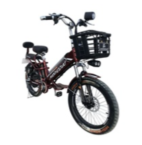 Bicicleta Eléctrica MISHOZUKI 1000W 3.0/2024