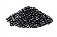 Frijol Negro Importado [5 libras]