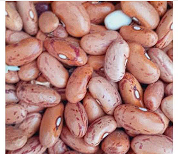 Frijol colorado 5 lbs .